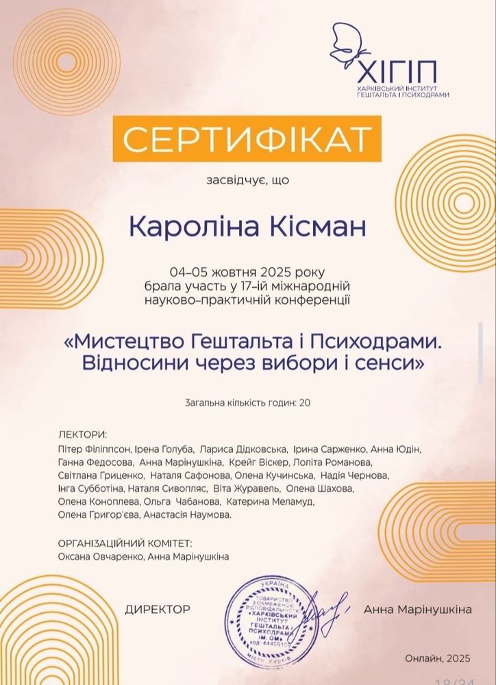Сертификат участия в международной конференции